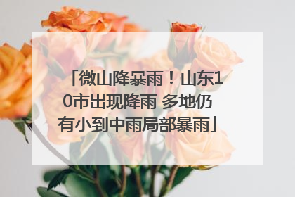 微山降暴雨！山东10市出现降雨 多地仍有小到中雨局部暴雨