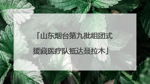 山东烟台第九批组团式援藏医疗队抵达聂拉木