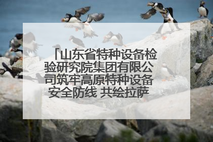 山东省特种设备检验研究院集团有限公司筑牢高原特种设备安全防线 共绘拉萨美好生活画卷