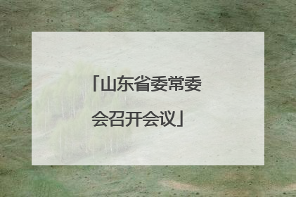 山东省委常委会召开会议