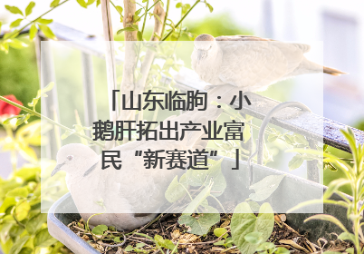 山东临朐：小鹅肝拓出产业富民“新赛道”