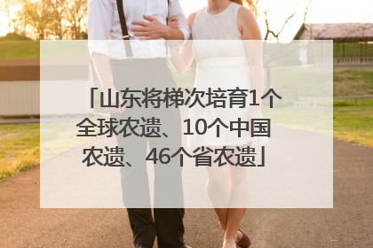 山东将梯次培育1个全球农遗、10个中国农遗、46个省农遗