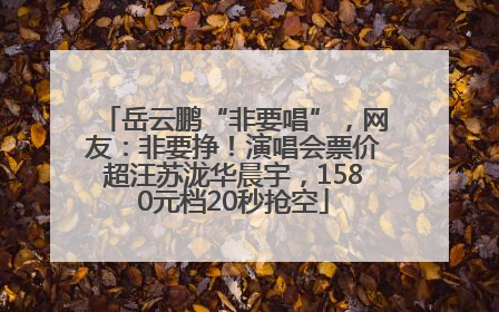 岳云鹏“非要唱”，网友：非要挣！演唱会票价超汪苏泷华晨宇，1580元档20秒抢空