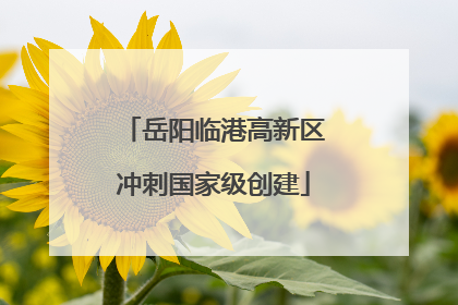 岳阳临港高新区冲刺国家级创建