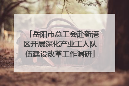 岳阳市总工会赴新港区开展深化产业工人队伍建设改革工作调研