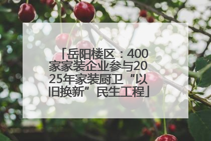 岳阳楼区：400家家装企业参与2025年家装厨卫“以旧换新”民生工程