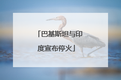 巴基斯坦与印度宣布停火