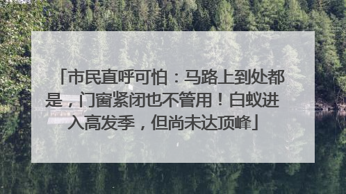 市民直呼可怕：马路上到处都是，门窗紧闭也不管用！白蚁进入高发季，但尚未达顶峰