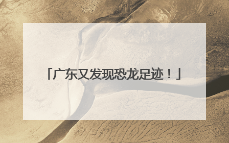 广东又发现恐龙足迹！