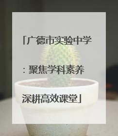 广德市实验中学：聚焦学科素养 深耕高效课堂