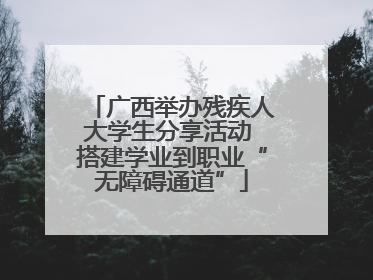 广西举办残疾人大学生分享活动 搭建学业到职业“无障碍通道”