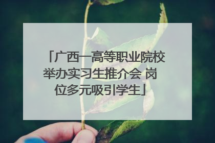 广西一高等职业院校举办实习生推介会 岗位多元吸引学生