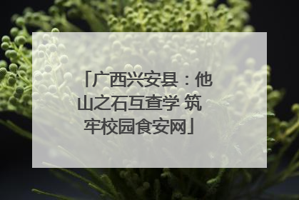 广西兴安县：他山之石互查学 筑牢校园食安网