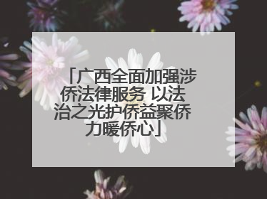 广西全面加强涉侨法律服务 以法治之光护侨益聚侨力暖侨心