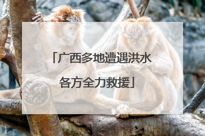 广西多地遭遇洪水 各方全力救援