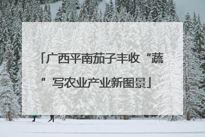 广西平南茄子丰收“蔬”写农业产业新图景