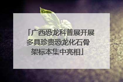 广西恐龙科普展开展 多具珍贵恐龙化石骨架标本集中亮相