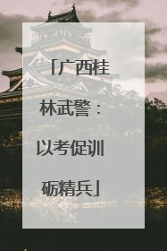 广西桂林武警：以考促训砺精兵