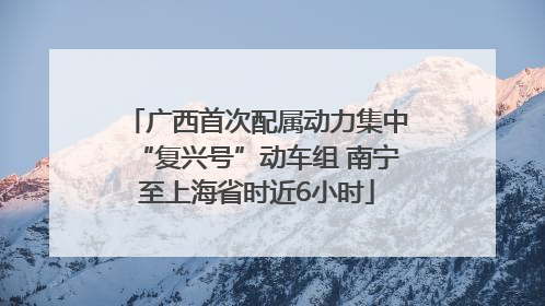 广西首次配属动力集中“复兴号”动车组 南宁至上海省时近6小时