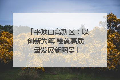 平顶山高新区：以创新为笔 绘就高质量发展新图景