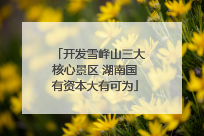 开发雪峰山三大核心景区 湖南国有资本大有可为