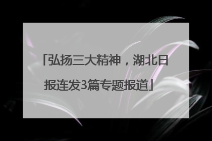 弘扬三大精神，湖北日报连发3篇专题报道