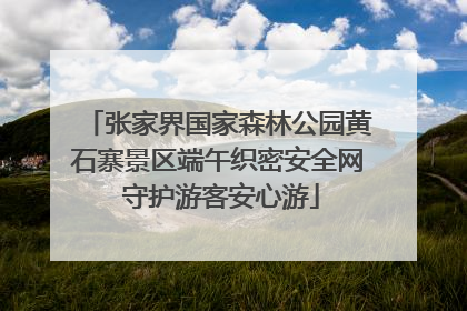 张家界国家森林公园黄石寨景区端午织密安全网 守护游客安心游