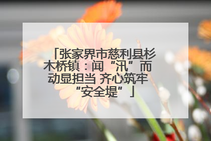 张家界市慈利县杉木桥镇：闻“汛”而动显担当 齐心筑牢“安全堤”