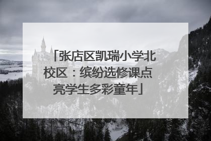 张店区凯瑞小学北校区：缤纷选修课点亮学生多彩童年