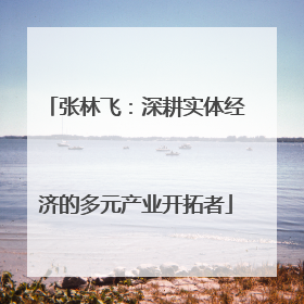 张林飞：深耕实体经济的多元产业开拓者