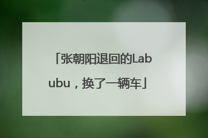 张朝阳退回的Labubu，换了一辆车