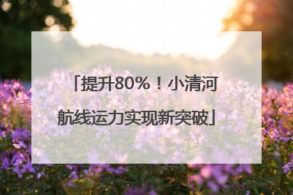 提升80％！小清河航线运力实现新突破