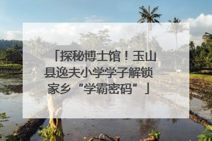 探秘博士馆！玉山县逸夫小学学子解锁家乡“学霸密码”