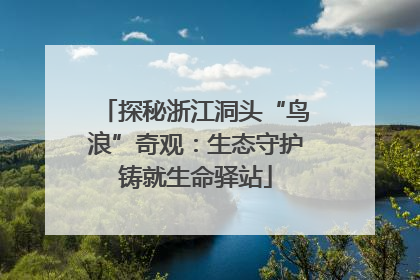 探秘浙江洞头“鸟浪”奇观：生态守护铸就生命驿站