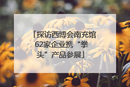 探访西博会南充馆 62家企业携“拳头”产品参展