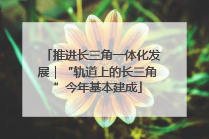 推进长三角一体化发展｜“轨道上的长三角”今年基本建成