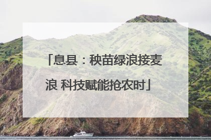 息县：秧苗绿浪接麦浪 科技赋能抢农时