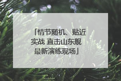 情节随机、贴近实战 直击山东舰最新演练现场