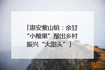 惠安紫山镇：余甘“小酸果”酿出乡村振兴“大甜头”