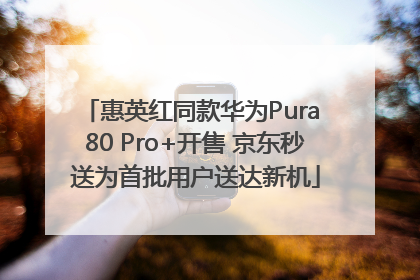 惠英红同款华为Pura 80 Pro+开售 京东秒送为首批用户送达新机