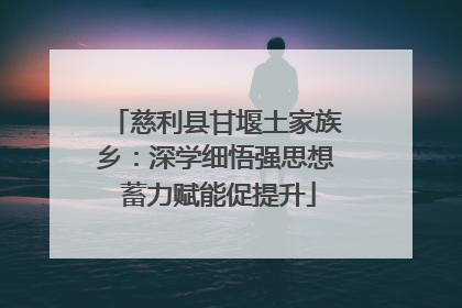 慈利县甘堰土家族乡：深学细悟强思想 蓄力赋能促提升