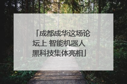 成都成华这场论坛上 智能机器人黑科技集体亮相