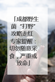 成都野生菌“打野”攻略走红 专家提醒：切勿随意采食，严重或致命