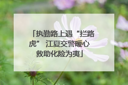 执勤路上遇“拦路虎” 江夏交警暖心救助化险为夷
