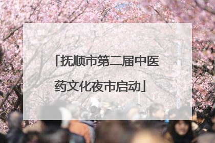 抚顺市第二届中医药文化夜市启动