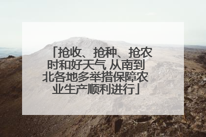 抢收、抢种、抢农时和好天气 从南到北各地多举措保障农业生产顺利进行