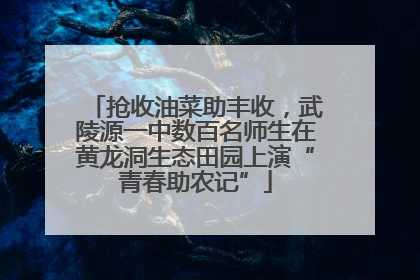 抢收油菜助丰收，武陵源一中数百名师生在黄龙洞生态田园上演“青春助农记”