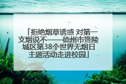 拒绝烟草诱惑 对第一支烟说不——德州市暨陵城区第38个世界无烟日主题活动走进校园