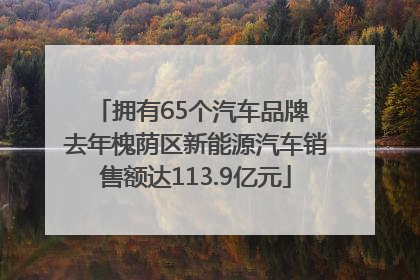 拥有65个汽车品牌 去年槐荫区新能源汽车销售额达113.9亿元