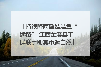 持续降雨致娃娃鱼“迷路” 江西金溪县干群联手助其重返自然